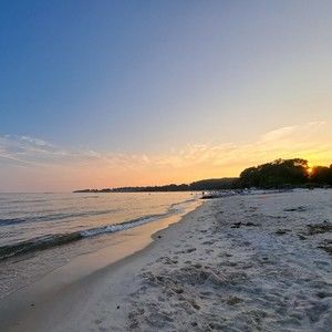 Meet your Posher, Bella